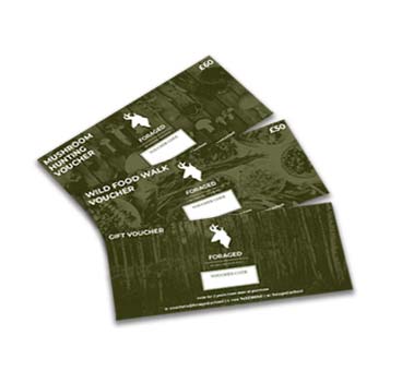 vouchers